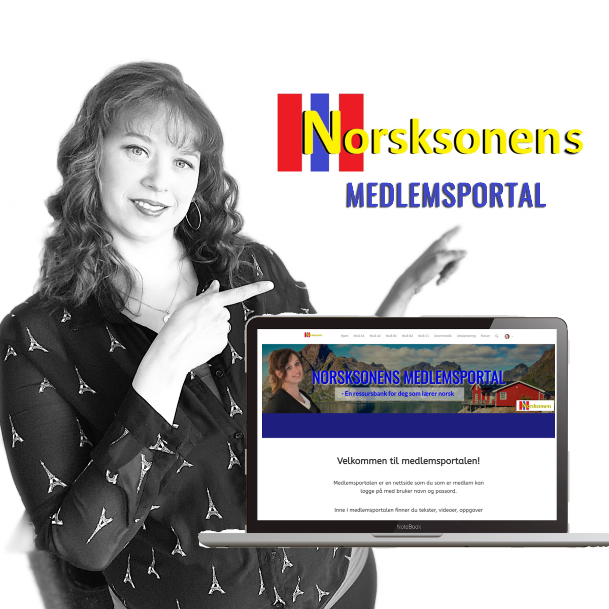 Medlemsportal_annonse1